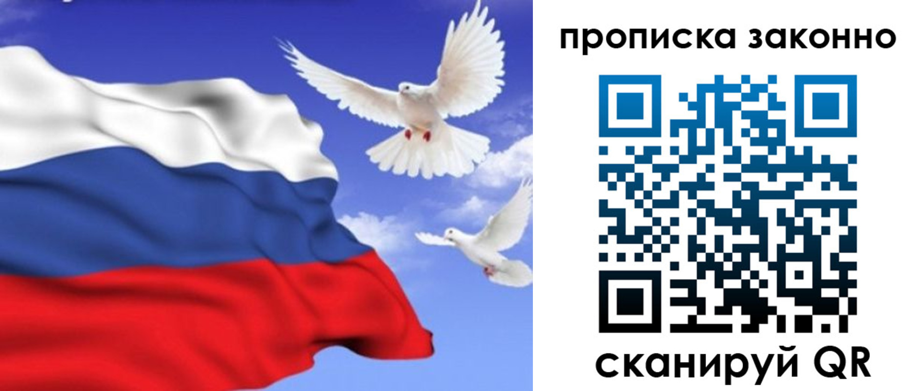 прописка в Снежногорске
