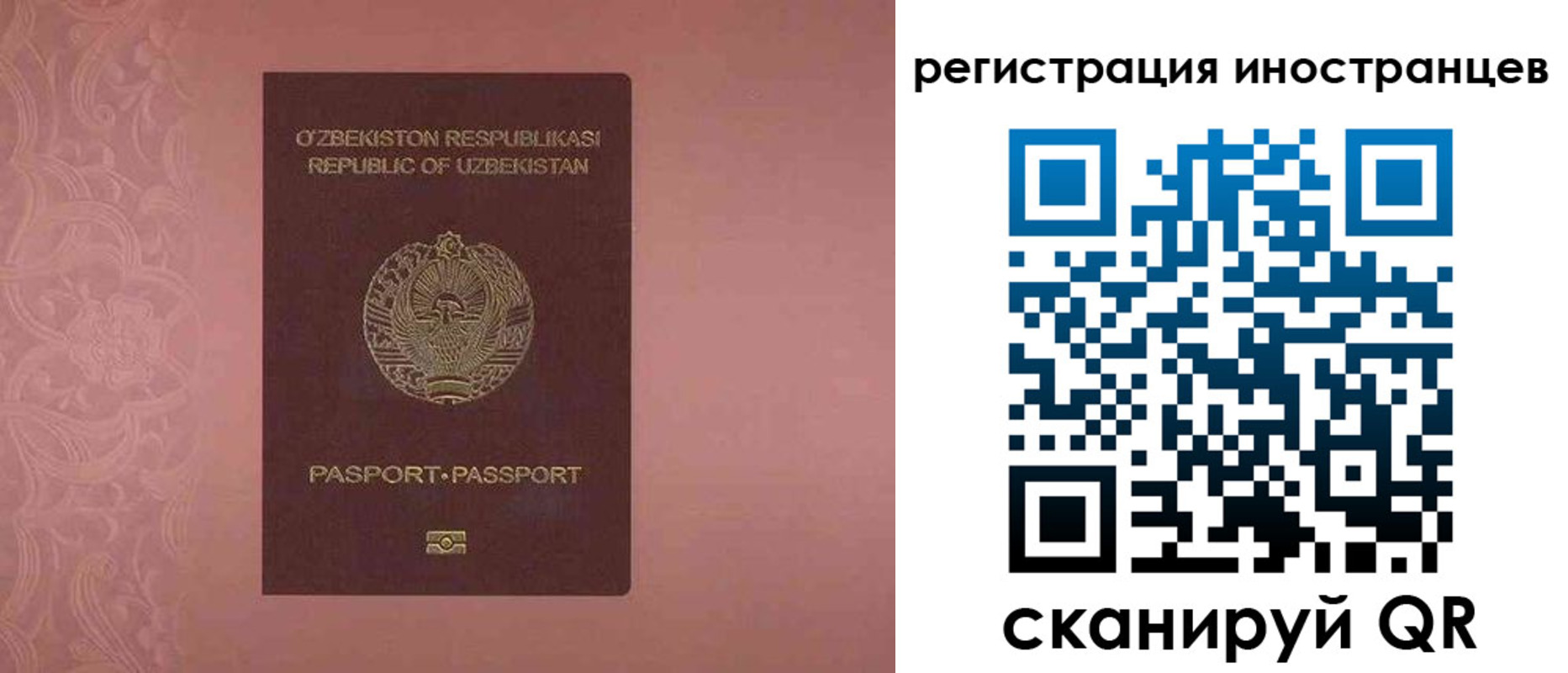 временная регистрация госуслуги в Снежногорске